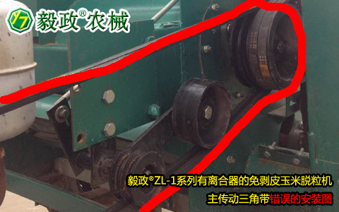 毅政牌ZL1系列有離合器的免剝皮玉米脫粒機(jī)，主傳動(dòng)三角帶錯(cuò)誤安裝