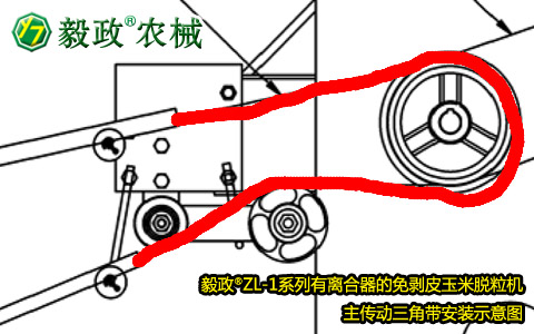 毅政牌ZL1系列有離合器的免剝皮玉米脫粒機(jī)，主傳動(dòng)三角帶正確安裝