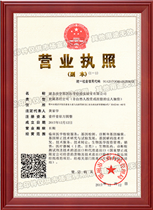 湖北檢驗(yàn)所公司營業(yè)執(zhí)照副本