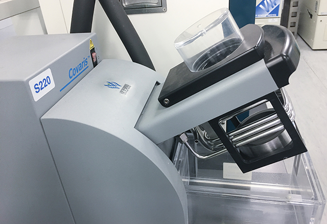 一個醫(yī)生的吶喊