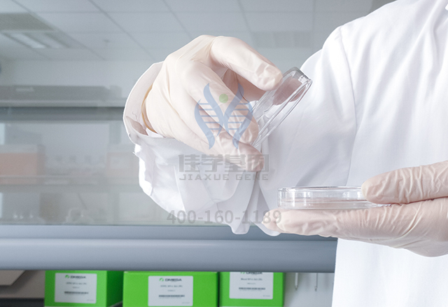 什么是正確營養(yǎng)