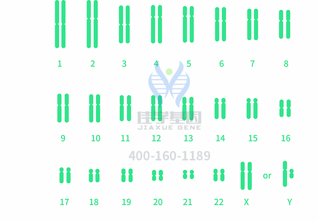 【佳學基因檢測】做多發(fā)性骨髓瘤易位1114型基因解碼、<a  data-cke-saved-href=http://www.hyjhsj.com/tk/jiema/cexujishu/2021/31933.html href=http://www.hyjhsj.com/tk/jiema/cexujishu/2021/31933.html>基因檢測</a>需要多少錢？