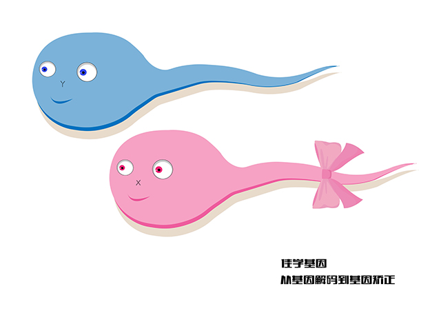 【佳學(xué)基因檢測(cè)】哪兒可以做瞼裂-智力低下綜合征Maat-Kievit-<font color='red'>Brunner</font> 型基因檢測(cè)？