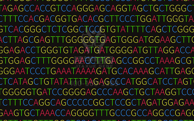 【佳學(xué)基因檢測(cè)】先天性膽汁酸合成障礙2型基因解碼、<a href=http://www.hyjhsj.com/tk/jiema/cexujishu/2021/31933.html>基因檢測(cè)</a>有什么用？
