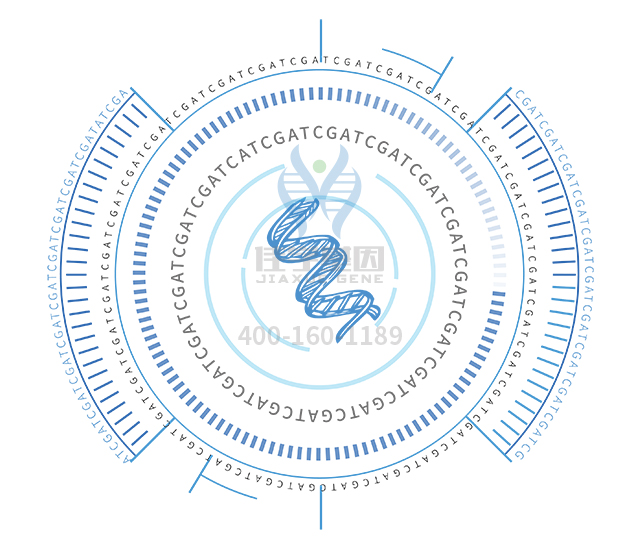 【佳學(xué)基因檢測】如何區(qū)分麥克爾綜合征（<font color='red'>Meckel</font>綜合征）13型基因解碼、基因檢測？