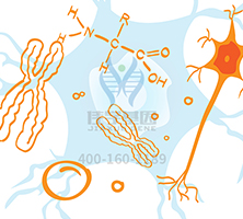 【佳學(xué)基因檢測】做<font color='red'><font color='red'>Denys-Drash</font></font>綜合征基因解碼、基因檢測需要多少錢？