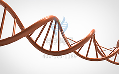 【佳學(xué)基因檢測】怎么做常染色體隱性廣泛性甲狀腺激素抵抗基因解碼、<a href=http://www.hyjhsj.com/tk/jiema/cexujishu/2021/31933.html>基因檢測</a>?