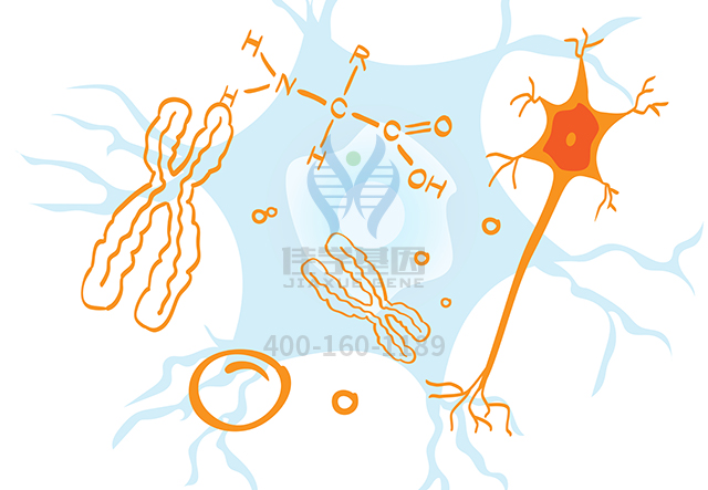 【佳學基因檢測】怎么做生精障礙12型基因解碼、<a href=http://www.hyjhsj.com/tk/jiema/cexujishu/2021/31933.html>基因檢測</a>?