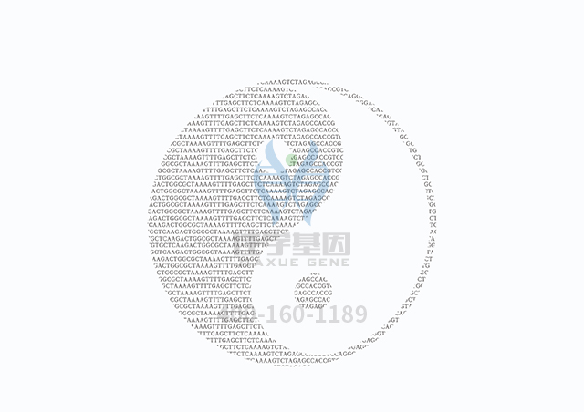 【佳學(xué)基因檢測(cè)】常染色體隱性Dejerine-Sottas綜合征基因解碼、<a href=http://www.hyjhsj.com/tk/jiema/cexujishu/2021/31933.html>基因檢測(cè)</a>可以只做基因解碼嗎？