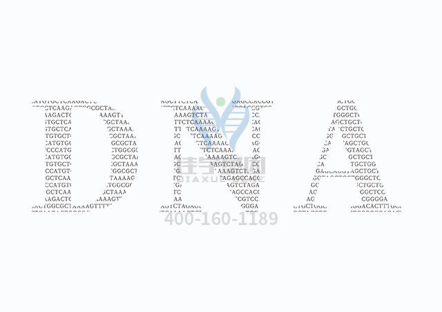 【佳學(xué)基因檢測(cè)】什么人要做由于ADA缺乏導(dǎo)致的SCID延遲發(fā)病型基因解碼、<a  data-cke-saved-href=http://www.hyjhsj.com/tk/jiema/cexujishu/2021/31933.html href=http://www.hyjhsj.com/tk/jiema/cexujishu/2021/31933.html>基因檢測(cè)</a>？