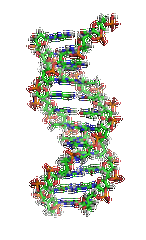 【佳學(xué)基因檢測】眼皮膚白化病4型基因解碼、<a href=http://www.hyjhsj.com/tk/jiema/cexujishu/2021/31933.html>基因檢測</a>的報告有人解讀嗎？