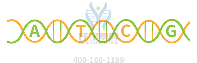 【佳學基因檢測】Townes-Brocks-branchiootorenal樣綜合征基因解碼、<a href=http://www.hyjhsj.com/tk/jiema/cexujishu/2021/31933.html>基因檢測</a>可以只做基因解碼嗎？