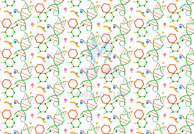 【佳學(xué)基因檢測】<font color='red'>無<font color='red'>虹膜</font></font>畸形1型基因解碼、<a href=http://www.hyjhsj.com/tk/jiema/cexujishu/2021/31933.html>基因檢測</a>的樣品有區(qū)別嗎？