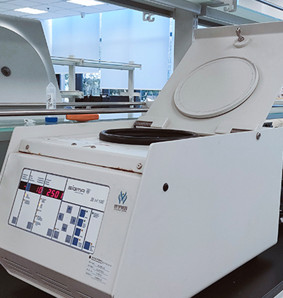 【佳學(xué)基因檢測】斯塔加特黃斑變性?。?lt;font color='red'><font color='red'>stargardt</font></font> macular degeneration)基因解碼、<a href=http://www.hyjhsj.com/tk/jiema/cexujishu/2021/31933.html>基因檢測</a>