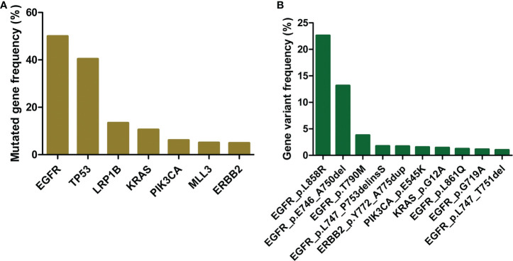 如何提高肺癌靶向藥物基因檢測(cè)的治療效果？
