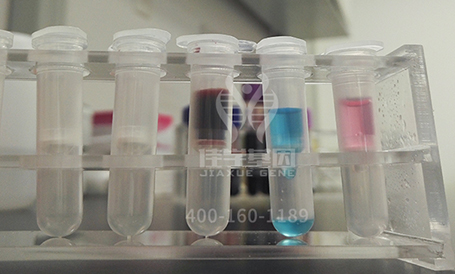 突變檢測ETV5存在移碼突變，值擔(dān)心嗎？